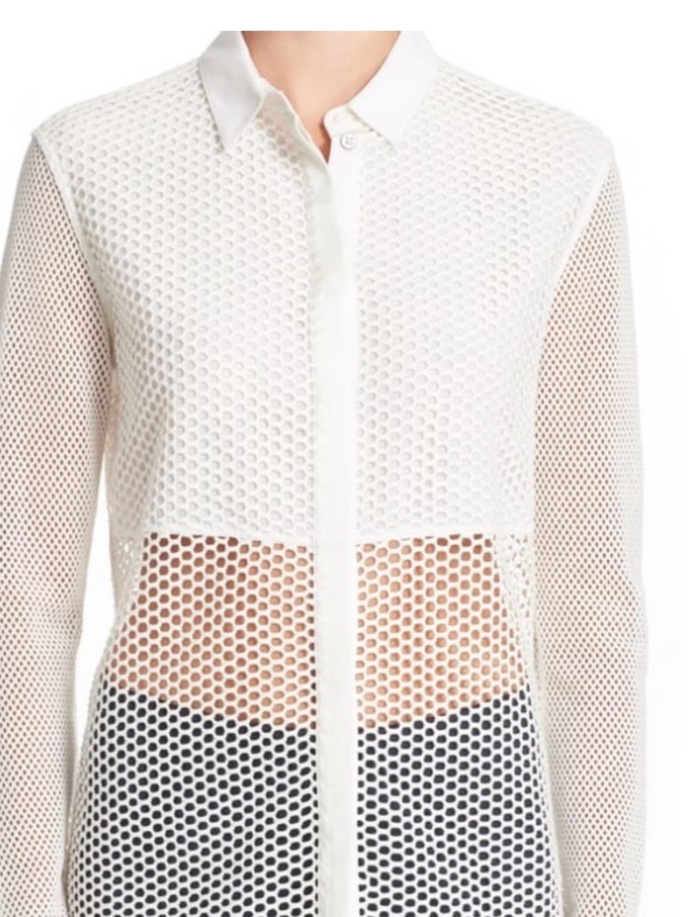 Rag & Bone Luna Silk Mesh Button-Up Shirt